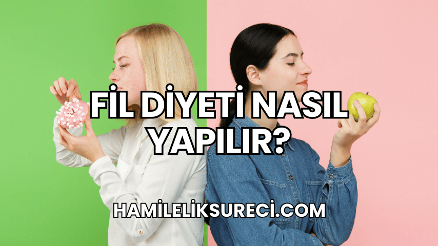 Fil Diyeti Nasıl Yapılır?