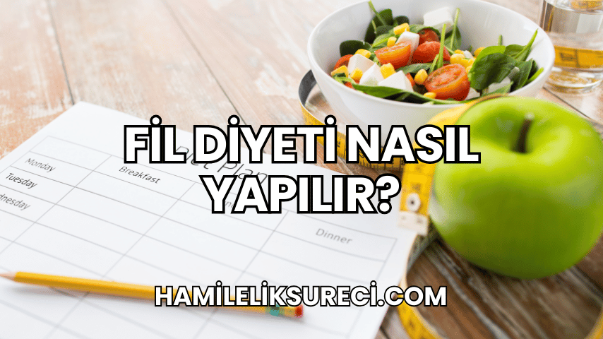 Fil Diyeti Nasıl Yapılır?