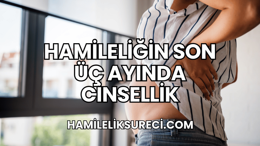 Hamileliğin Son Üç Ayında Cinsellik