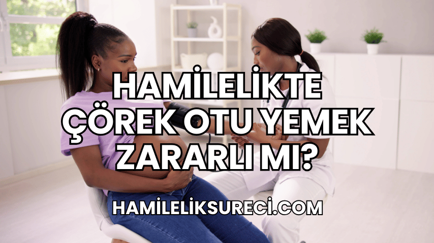 Hamilelikte Çörek Otu Yemek Zararlı mı 