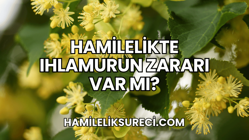 Hamilelikte Ihlamurun Zararı Var Mı