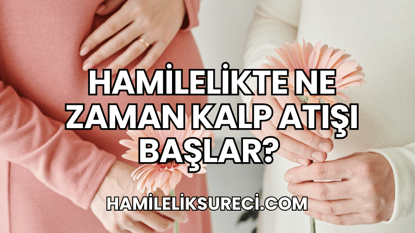 Hamilelikte Ne Zaman Kalp Atışı Başlar?