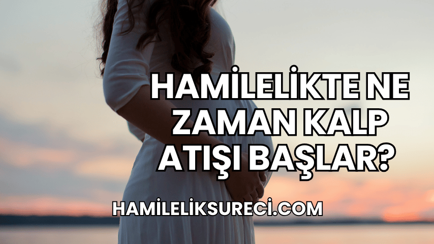 Hamilelikte Ne Zaman Kalp Atışı Başlar?