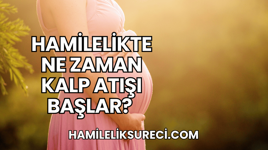 Hamilelikte Ne Zaman Kalp Atışı Başlar?