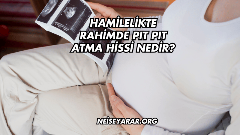 Hamilelikte Rahimde Pıt Pıt Atma Hissi Nedir?