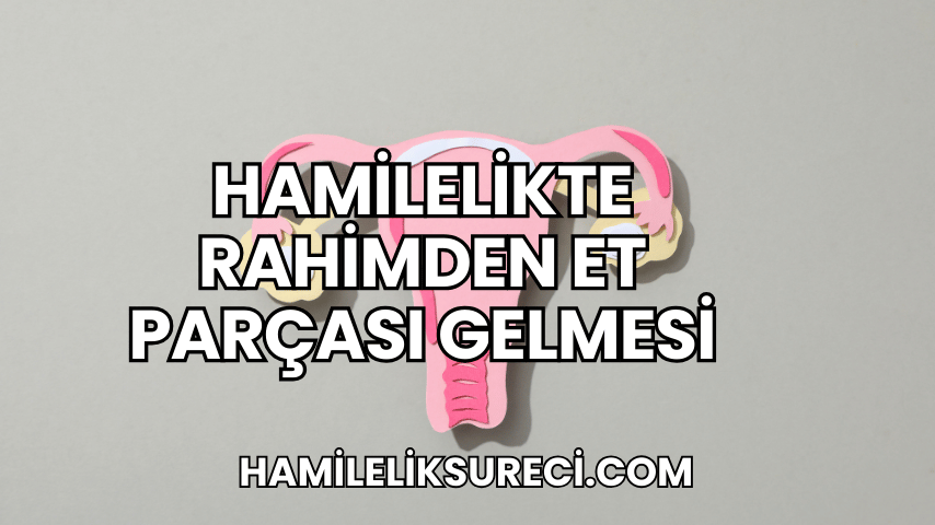 Hamilelikte Rahimden Et Parçası Gelmesi