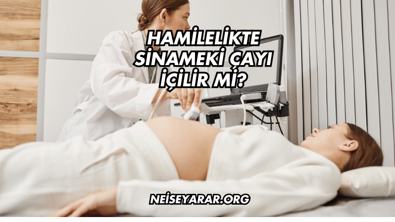 Hamilelikte Sinameki Çayı İçilir Mi?