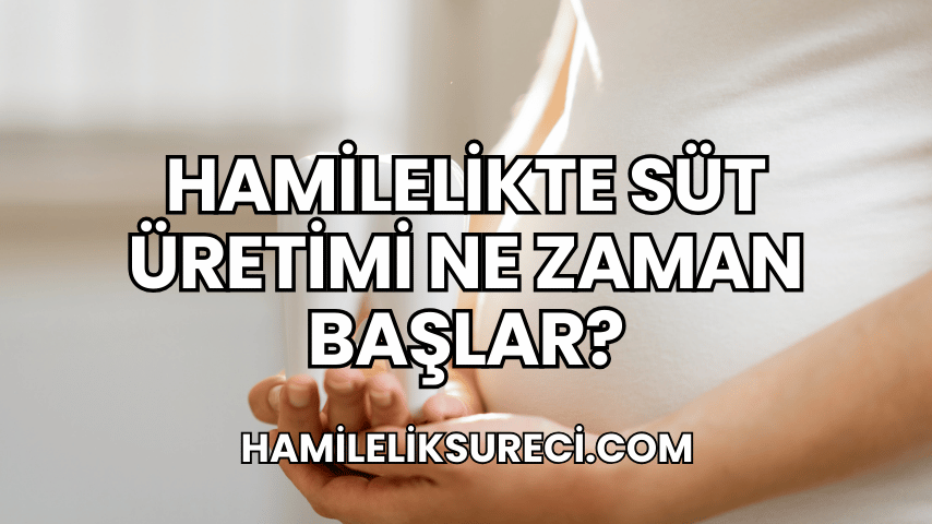 Hamilelikte Süt Üretimi Ne Zaman Başlar?