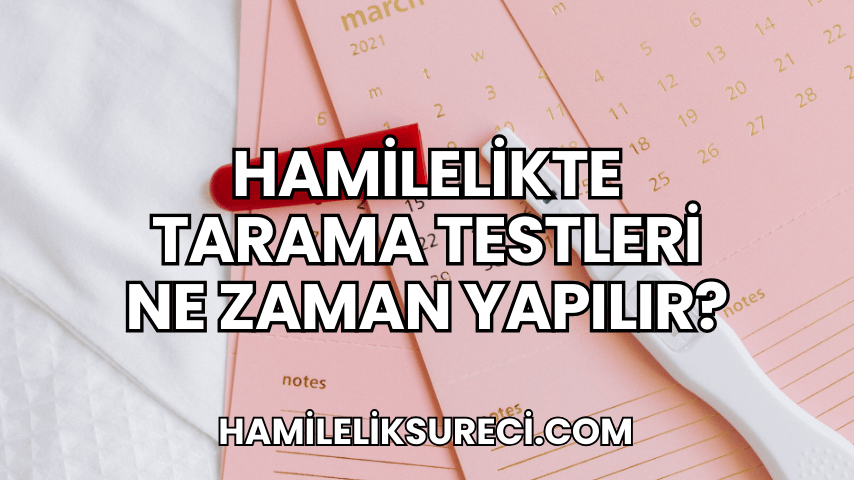 Hamilelikte Tarama Testleri Ne Zaman Yapılır?