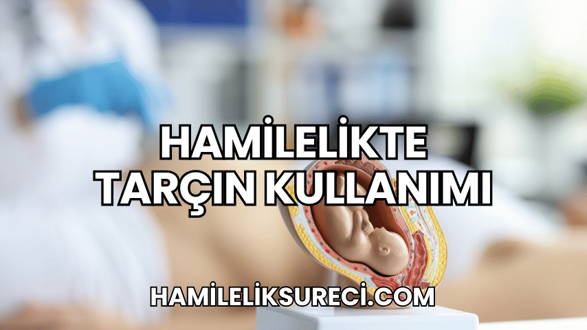 Hamilelikte Tarçın Kullanımı