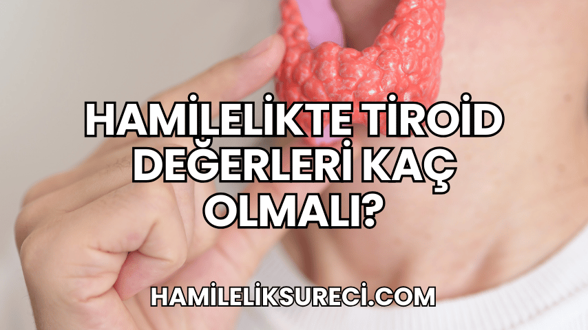 Hamilelikte Tiroid Değerleri Kaç Olmalı?