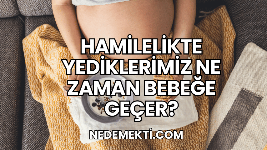 Hamilelikte Yediklerimiz Ne Zaman Bebeğe Geçer?