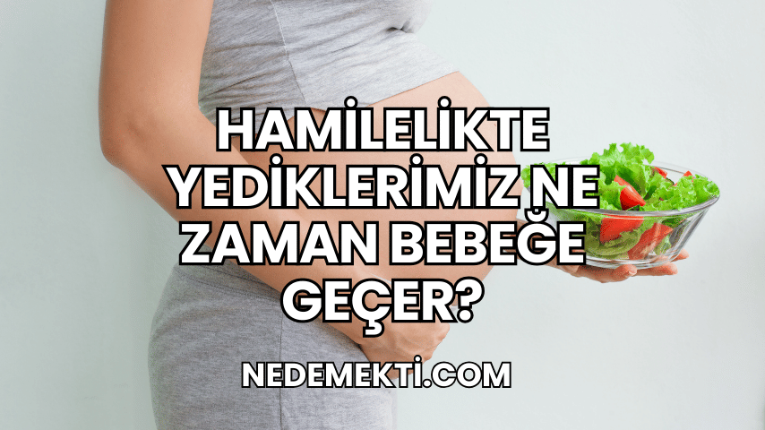 Hamilelikte Yediklerimiz Ne Zaman Bebeğe Geçer?