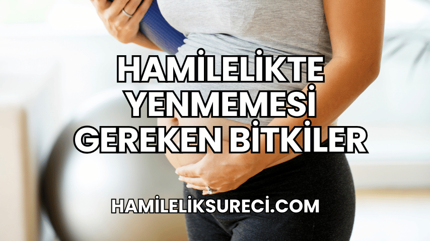 Hamilelikte Yenmemesi Gereken Bitkiler