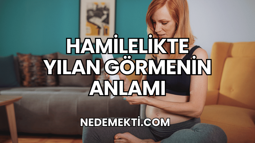 Hamilelikte Yılan Görmenin Anlamı