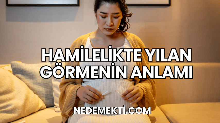 Hamilelikte Yılan Görmenin Anlamı