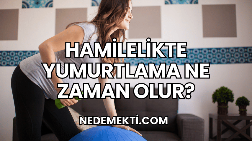 Hamilelikte Yumurtlama Ne Zaman Olur?