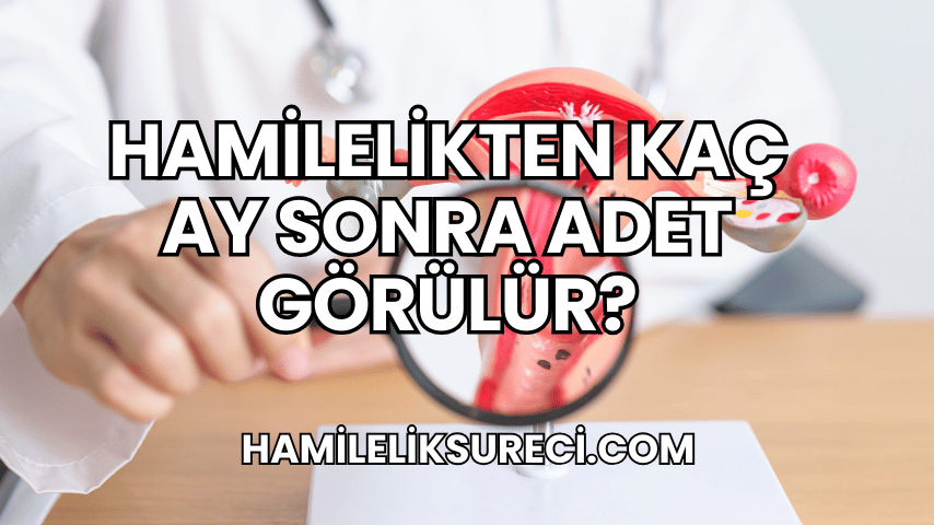 Hamilelikten Kaç Ay Sonra Adet Görülür?