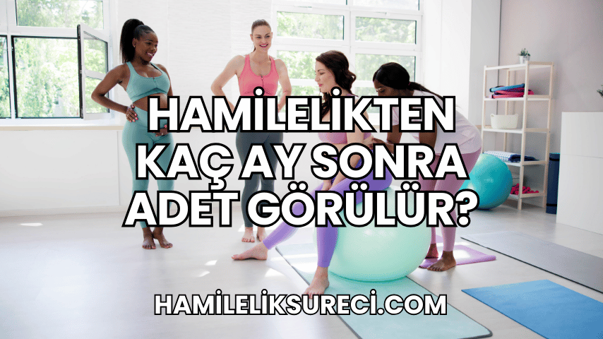 Hamilelikten Kaç Ay Sonra Adet Görülür?