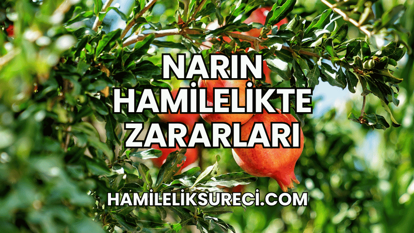 Narın Hamilelikte Zararları