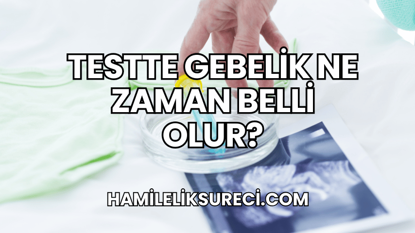 Testte Gebelik Ne Zaman Belli Olur?