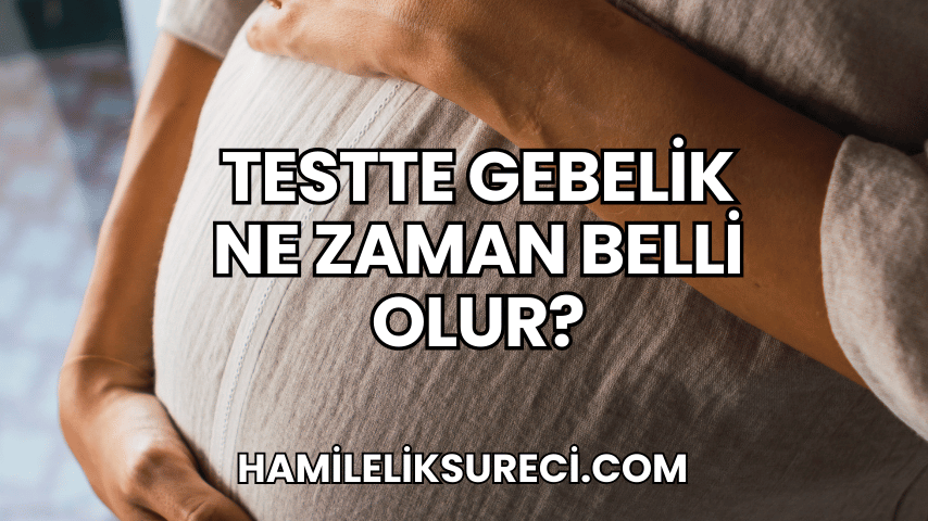 Testte Gebelik Ne Zaman Belli Olur?