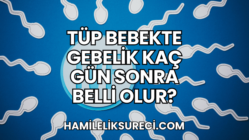 Tüp Bebekte Gebelik Kaç Gün Sonra Belli Olur?