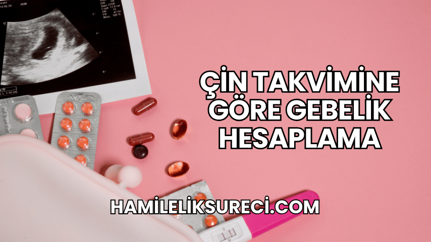 Çin Takvimine Göre Gebelik Hesaplama