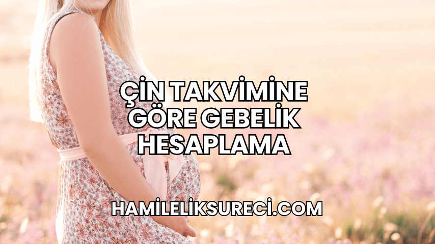 Çin Takvimine Göre Gebelik Hesaplama