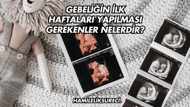 Gebeliğin İlk Haftaları Yapılması Gerekenler Nelerdir?