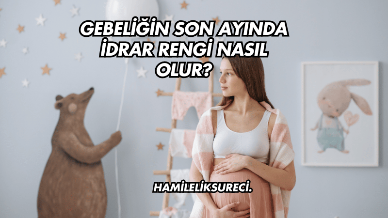 Gebeliğin Son Ayında İdrar Rengi Nasıl Olur?