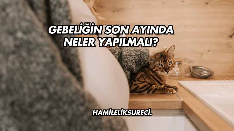 Gebeliğin Son Ayında Neler Yapılmalı?