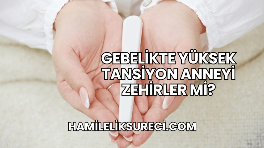 Gebelikte Yüksek Tansiyon Anneyi Zehirler mi?