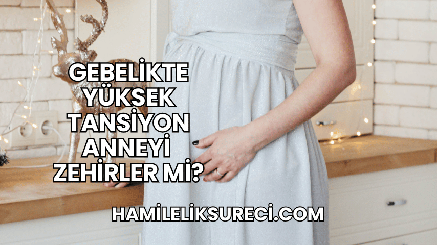 Gebelikte Yüksek Tansiyon Anneyi Zehirler mi?