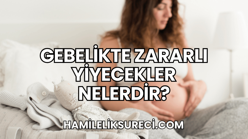 Gebelikte Zararlı Yiyecekler Nelerdir?