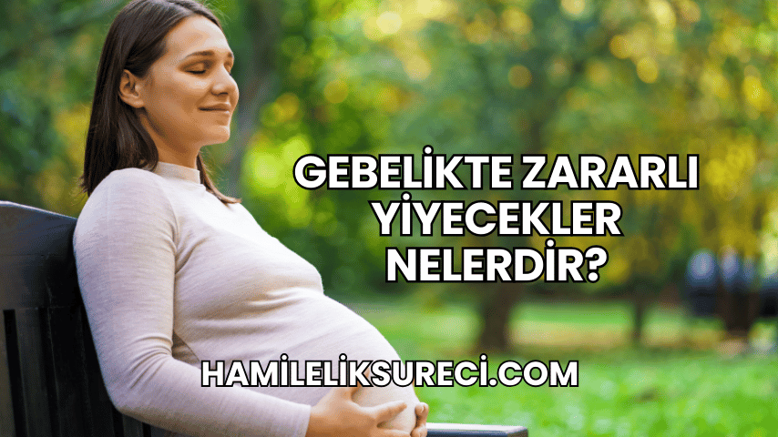 Gebelikte Zararlı Yiyecekler Nelerdir?