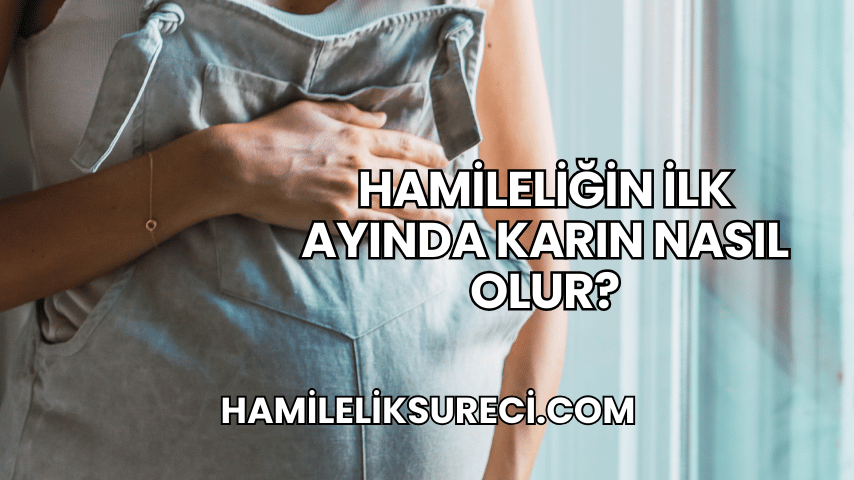 Hamileliğin İlk Ayında Karın Nasıl Olur?