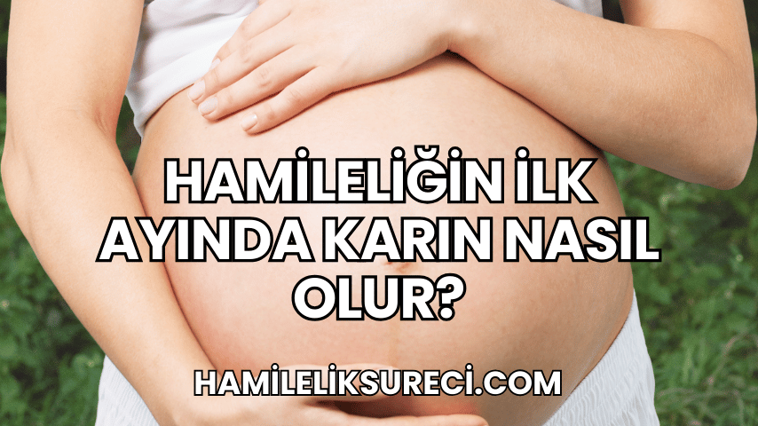 Hamileliğin İlk Ayında Karın Nasıl Olur?