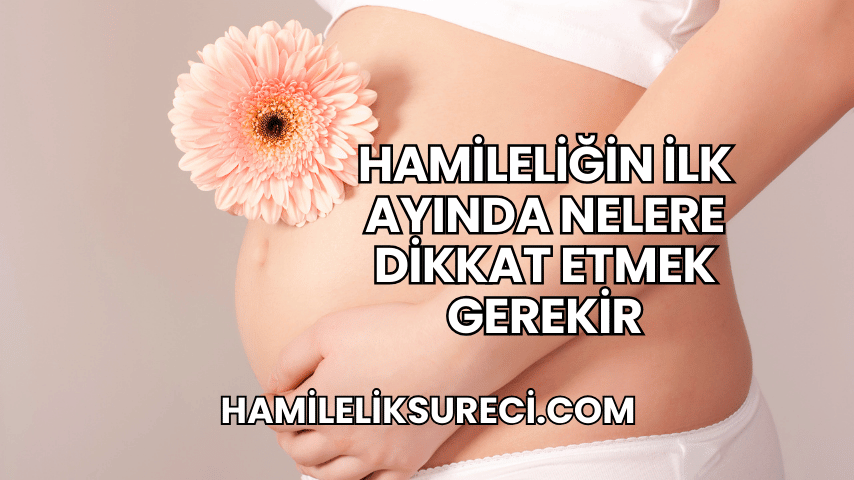 Hamileliğin İlk Ayında Nelere Dikkat Etmek Gerekir