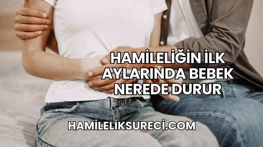 Hamileliğin İlk Aylarında Bebek Nerede Durur