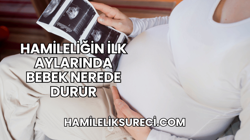 Hamileliğin İlk Aylarında Bebek Nerede Durur