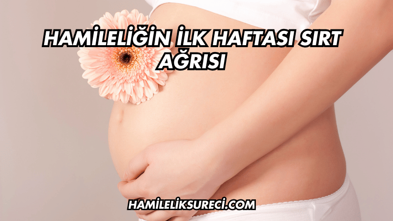 Hamileliğin İlk Haftası Sırt Ağrısı