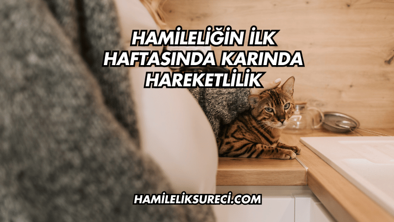 Hamileliğin İlk Haftasında Karında Hareketlilik