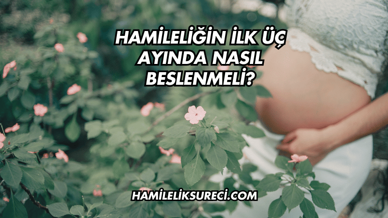 Hamileliğin İlk Üç Ayında Nasıl Beslenmeli?