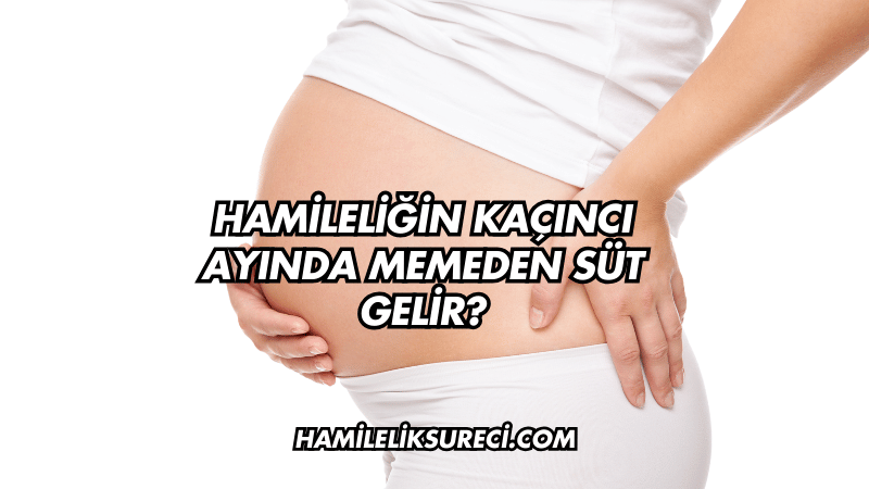 Hamileliğin Kaçıncı Ayında Memeden Süt Gelir?