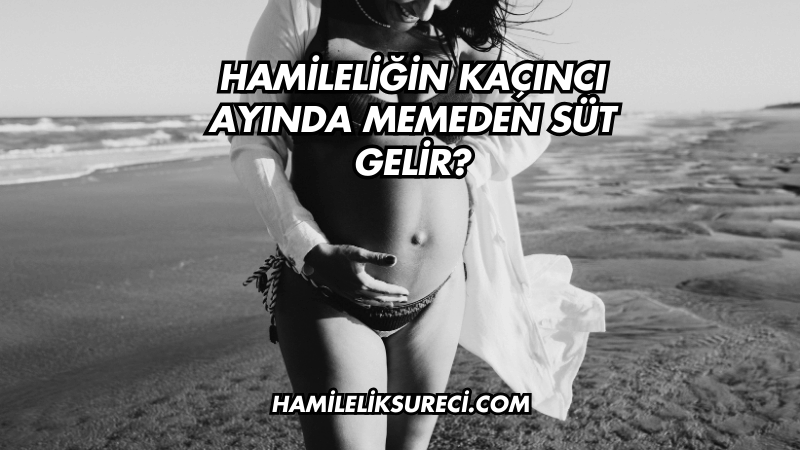 Hamileliğin Kaçıncı Ayında Memeden Süt Gelir?