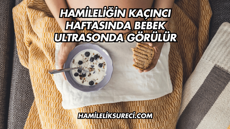 Hamileliğin Kaçıncı Haftasında Bebek Ultrasonda Görülür