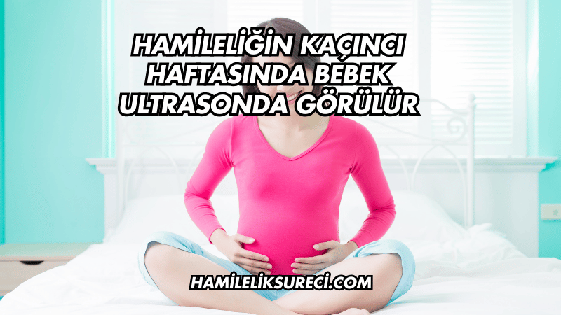 Hamileliğin Kaçıncı Haftasında Bebek Ultrasonda Görülür