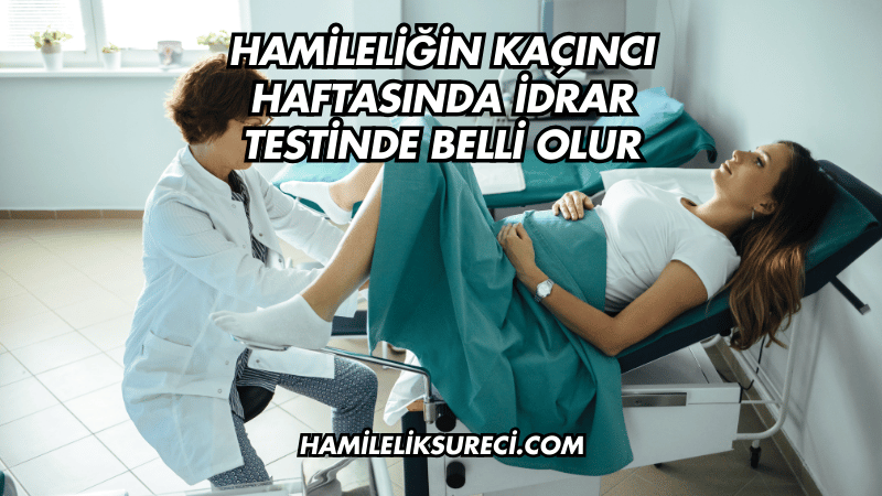 Hamileliğin Kaçıncı Haftasında İdrar Testinde Belli Olur