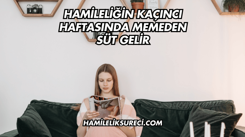 Hamileliğin Kaçıncı Haftasında Memeden Süt Gelir